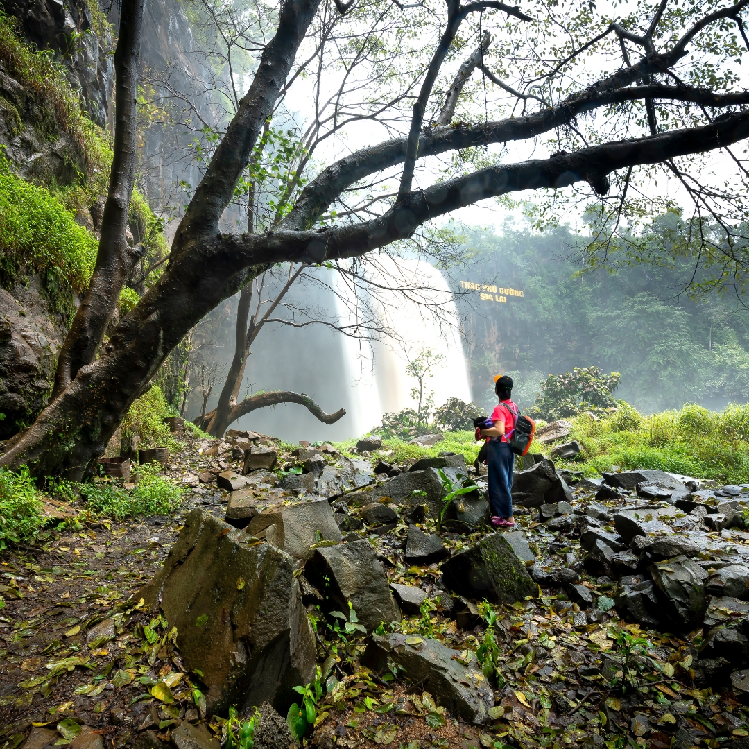 خرید تور مساورتی از اسمان سپید https://sepid24.com/hotel/excelsior-grand-resort-kish/