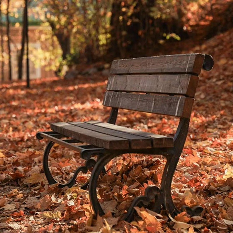 بهترین شهرهای ایران برای سفر در پاییز از نگاه گردشی تاپ