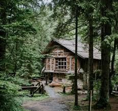 ساخت کلبه جنگلی