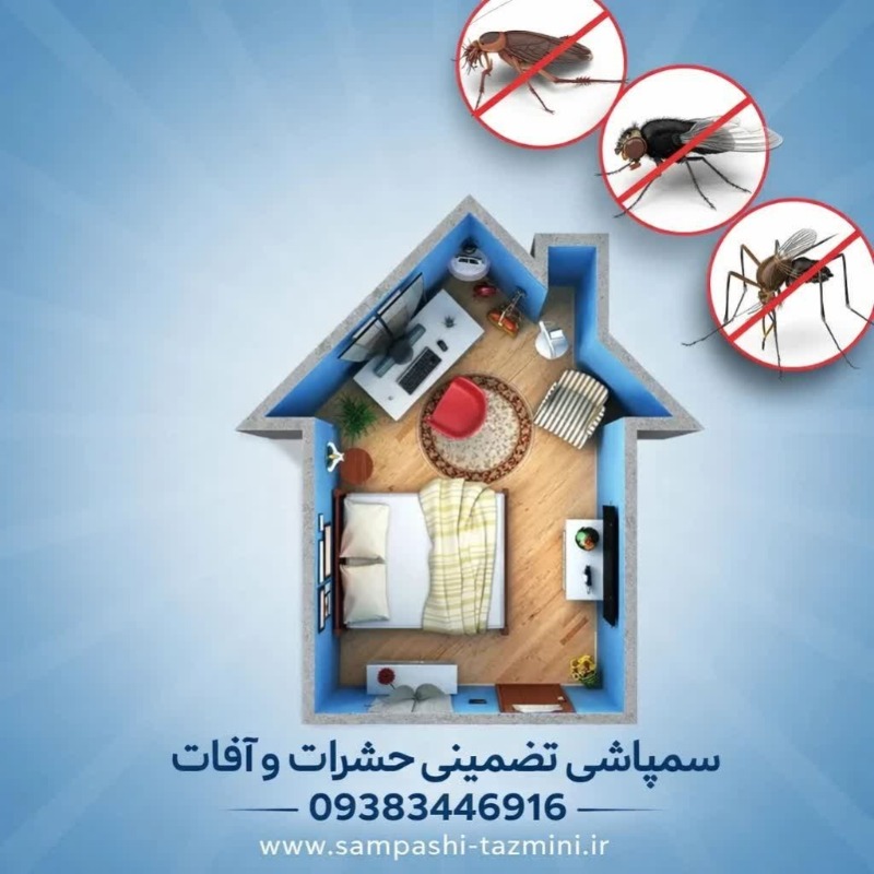 سمپاشی سوسک ریز