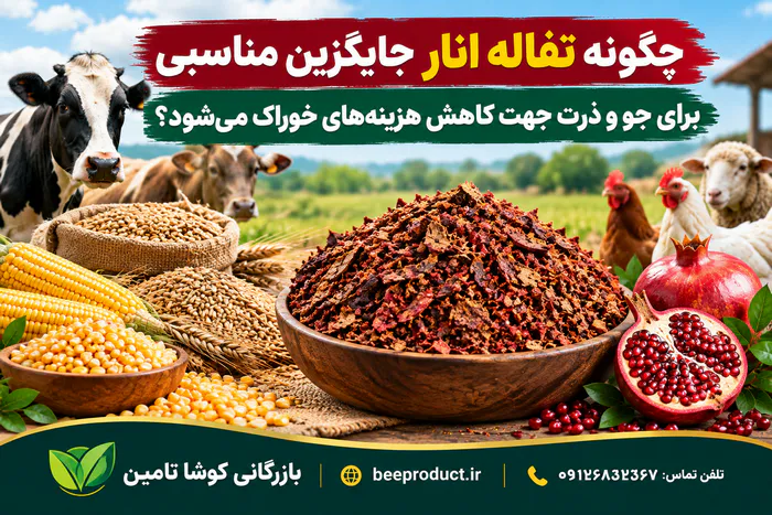 تفاله خرما دامی؛ بمب انرژی و جایگزین اقتصادی جو برای افزایش وزنگیری و تولید شیر