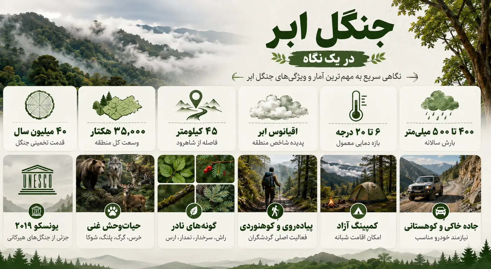 جنگل ابر شاهرود در یک نگاه